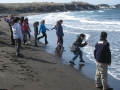 Playing-chicken-in-the-Bering-Sea