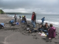 St.-George-seabird-camp-bird-watching
