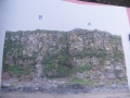 cliff-plot