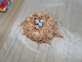 edible-bird-nest