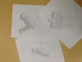 field-sketches.-St.-Paul-seabird-camp-2013