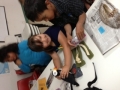 learning-about-seabird-adaptations-during-Seabird-Camp-2013
