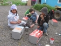 painting-nestboxes