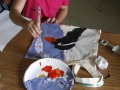 Camp 2015_Parakeet auklet_Ram Papish
