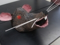 Camp 2015_Rat_Ram Papish