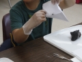 Camp 2015_feather sample