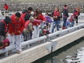 Camp 2015_lauchin ROVs_Ram Papish