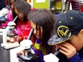 Camp 2015_zooplankton_Veronica Padula