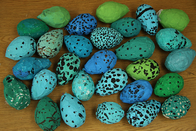 our murre eggs